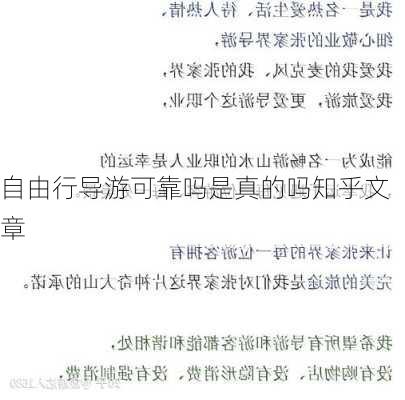 自由行导游可靠吗是真的吗知乎文章