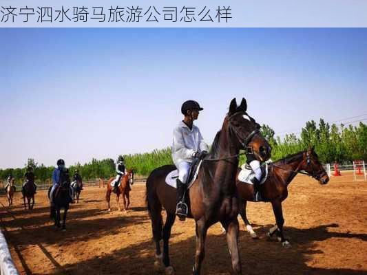 济宁泗水骑马旅游公司怎么样