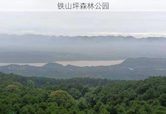 铁山坪森林公园