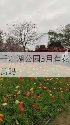 千灯湖公园3月有花赏吗