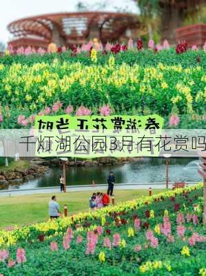 千灯湖公园3月有花赏吗