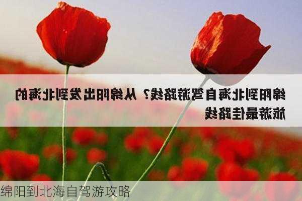 绵阳到北海自驾游攻略