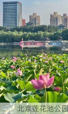 北京莲花池公园