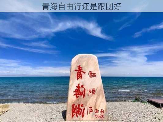 青海自由行还是跟团好