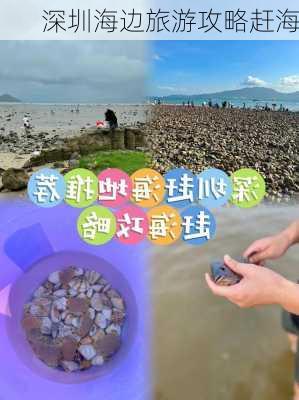 深圳海边旅游攻略赶海