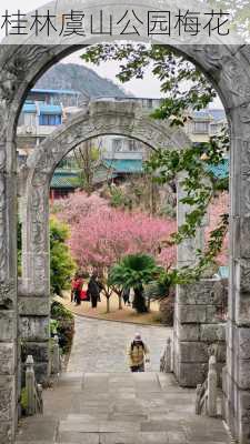 桂林虞山公园梅花