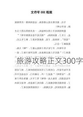 旅游攻略正文300字