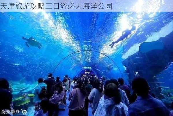 天津旅游攻略三日游必去海洋公园