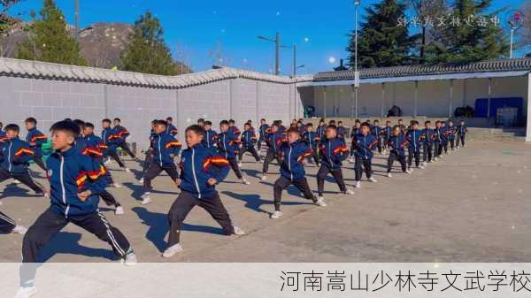 河南嵩山少林寺文武学校