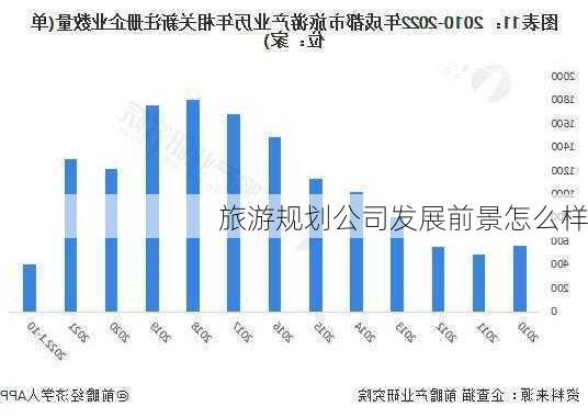 旅游规划公司发展前景怎么样