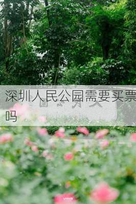 深圳人民公园需要买票吗