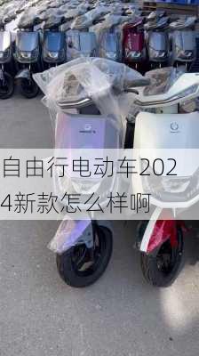 自由行电动车2024新款怎么样啊