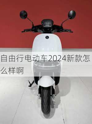 自由行电动车2024新款怎么样啊