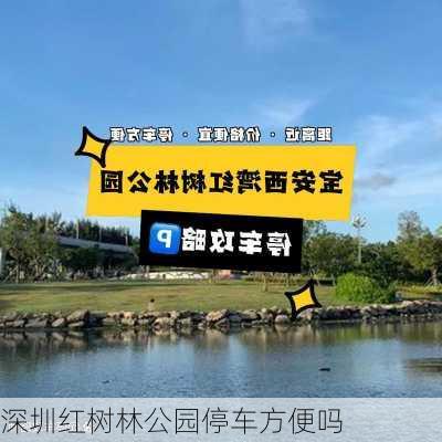 深圳红树林公园停车方便吗