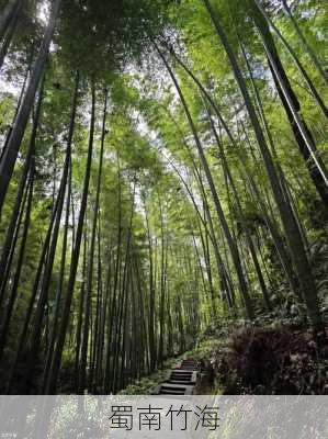 蜀南竹海