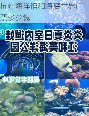 杭州海洋馆和海底世界门票多少钱