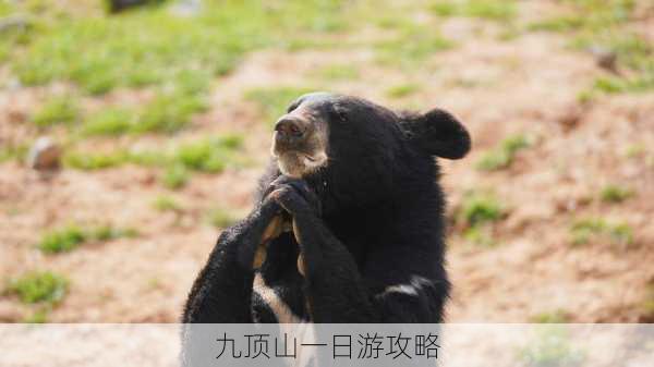 九顶山一日游攻略