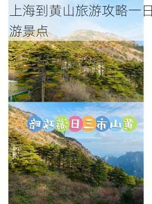 上海到黄山旅游攻略一日游景点