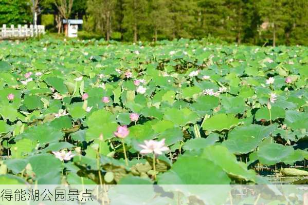 得能湖公园景点