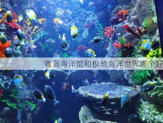 青岛海洋馆和极地海洋世界哪个好