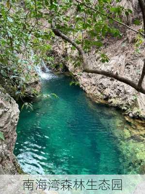 南海湾森林生态园