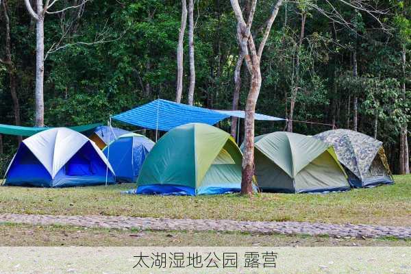 太湖湿地公园 露营