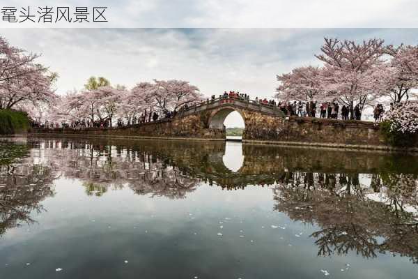 鼋头渚风景区