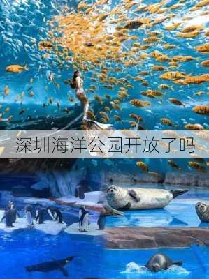 深圳海洋公园开放了吗